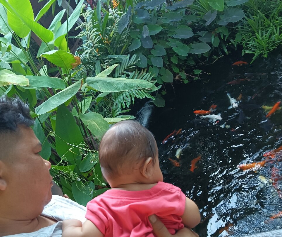 缇阿拉布恩酒店主图