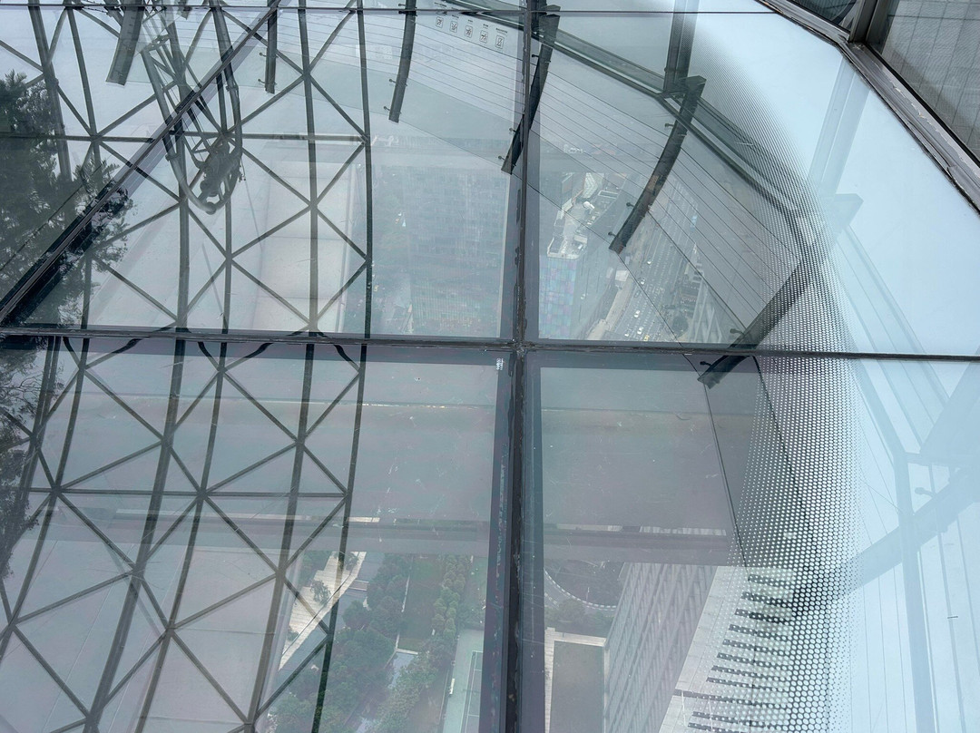 Raffles City Mall Chongqing-重庆市必去景点