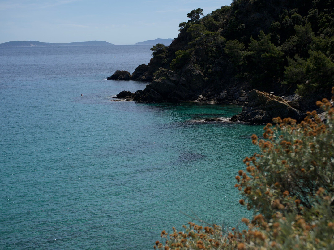Sentier du Fenouillet-Cavalaire-Sur-Mer必去景点