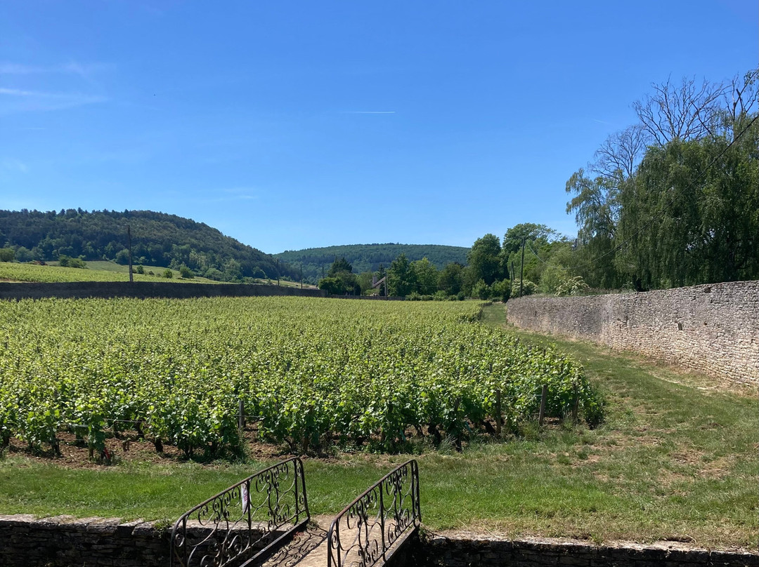 Clos Du Moulin Aux Moines-Auxey-Duresses必去景点