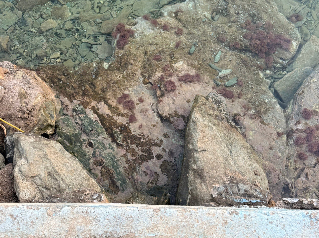 Agia Pelagia Beach-阿希亚贝拉希亚必去景点
