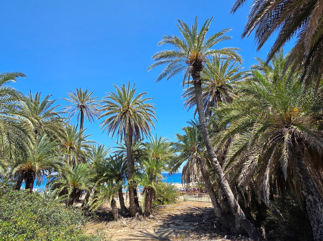 Vai Beach-Vai必去景点