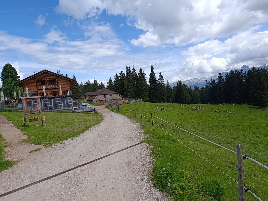 Malga Costa Liegalm