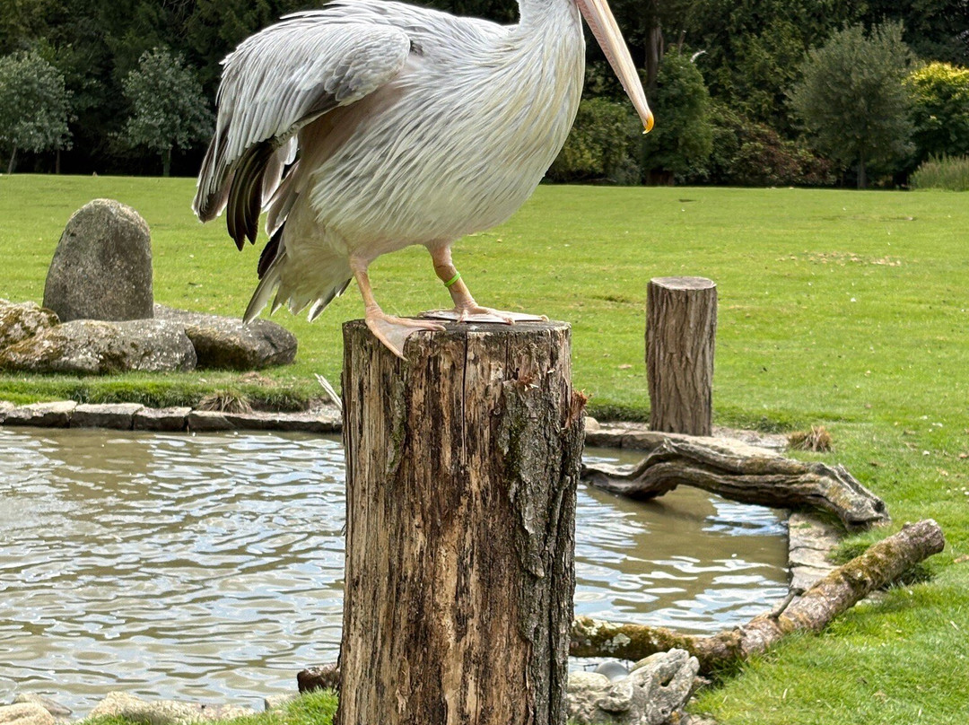 Parc Animalier et Botanique de Branféré-Le Guerno必去景点