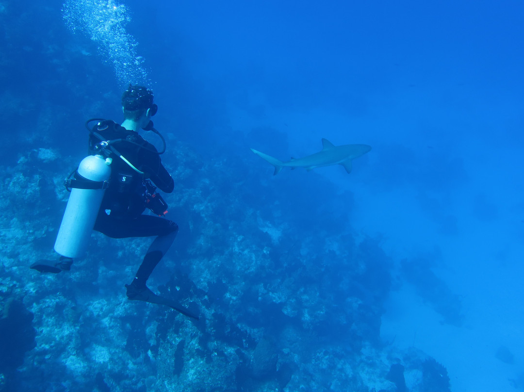 Only Blue Diving Dreams-Cockburn Town必去景点
