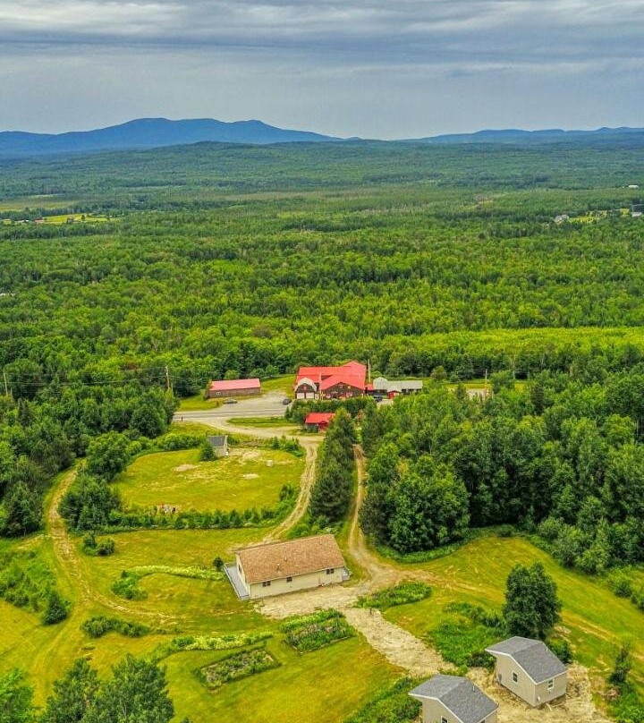 201 Cabins