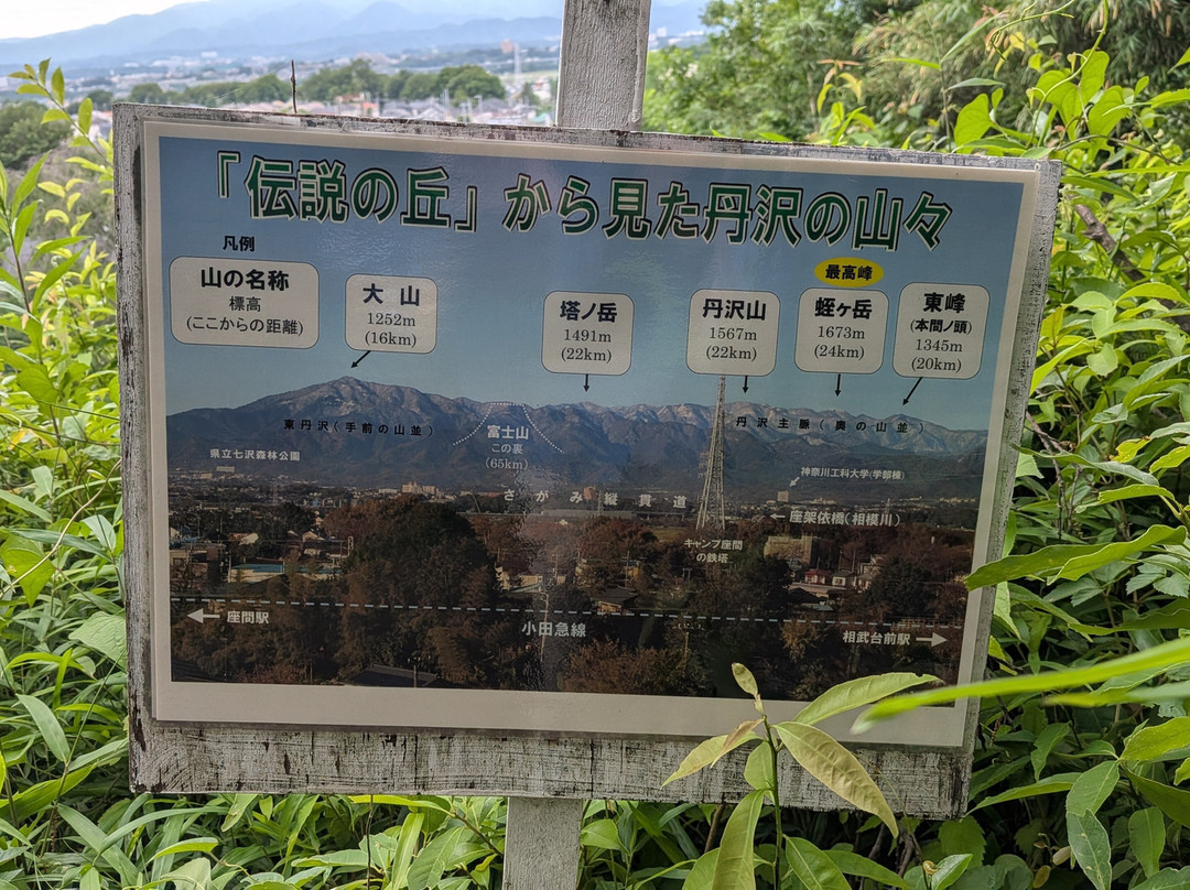 Zama Yatoyama Park-座间市必去景点