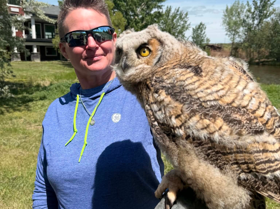 Alberta Birds of Prey Visitor's Centre-Coaldale必去景点