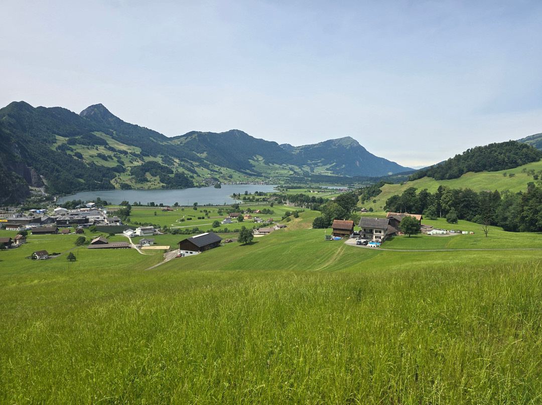 Swiss Private Tour-苏黎世必去景点