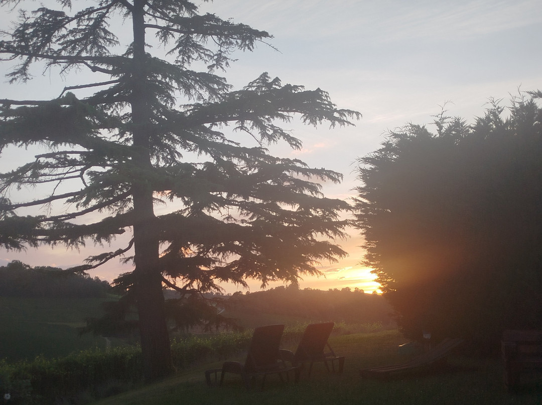 Costa di Bussia - Tenuta Arnulfo-蒙福特-达尔巴必去景点