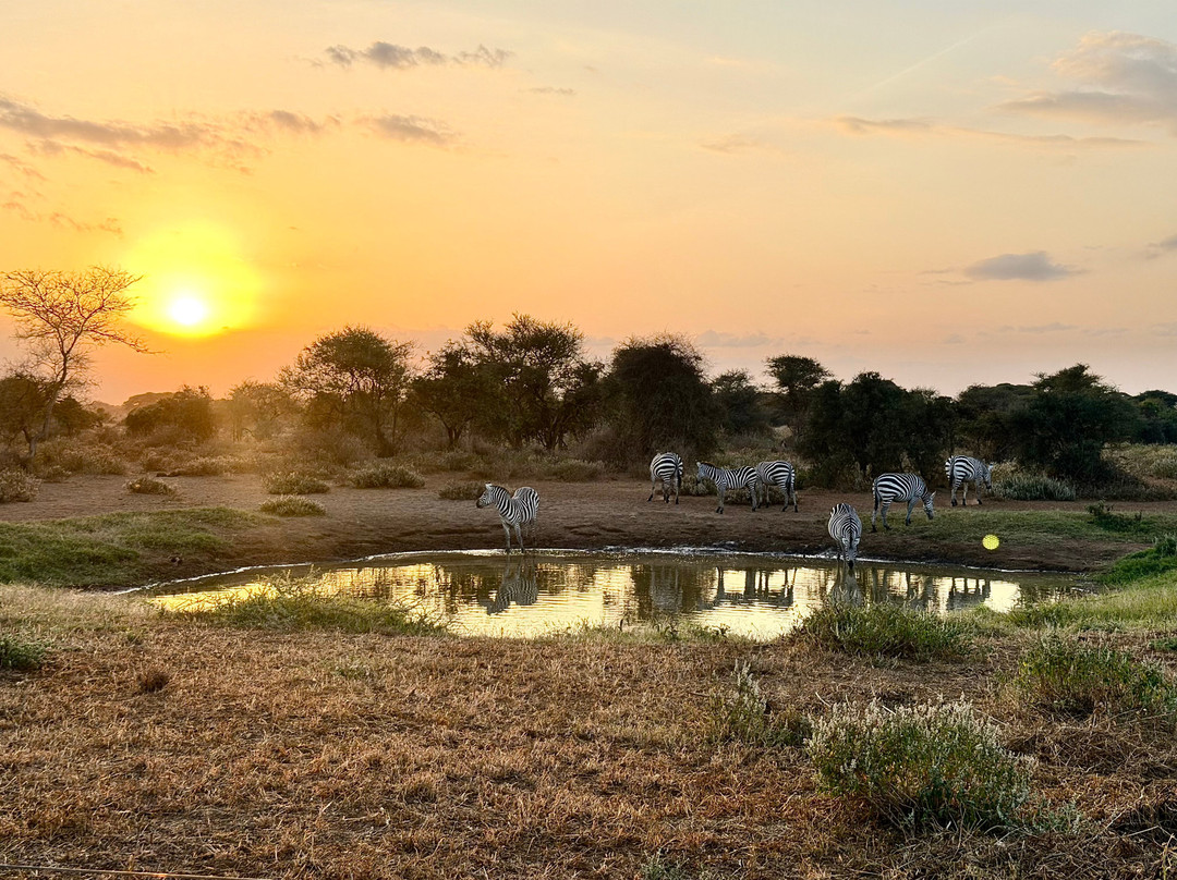 Oilepo Amboseli