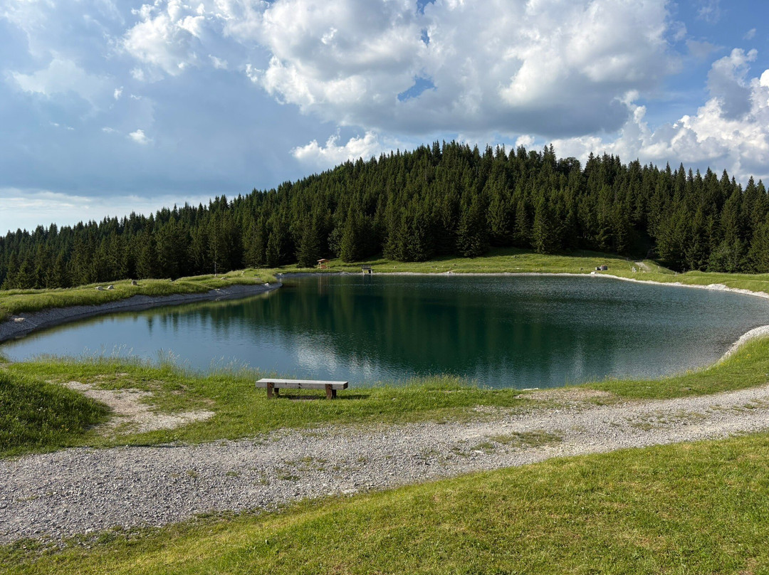 Zipline Annaberg