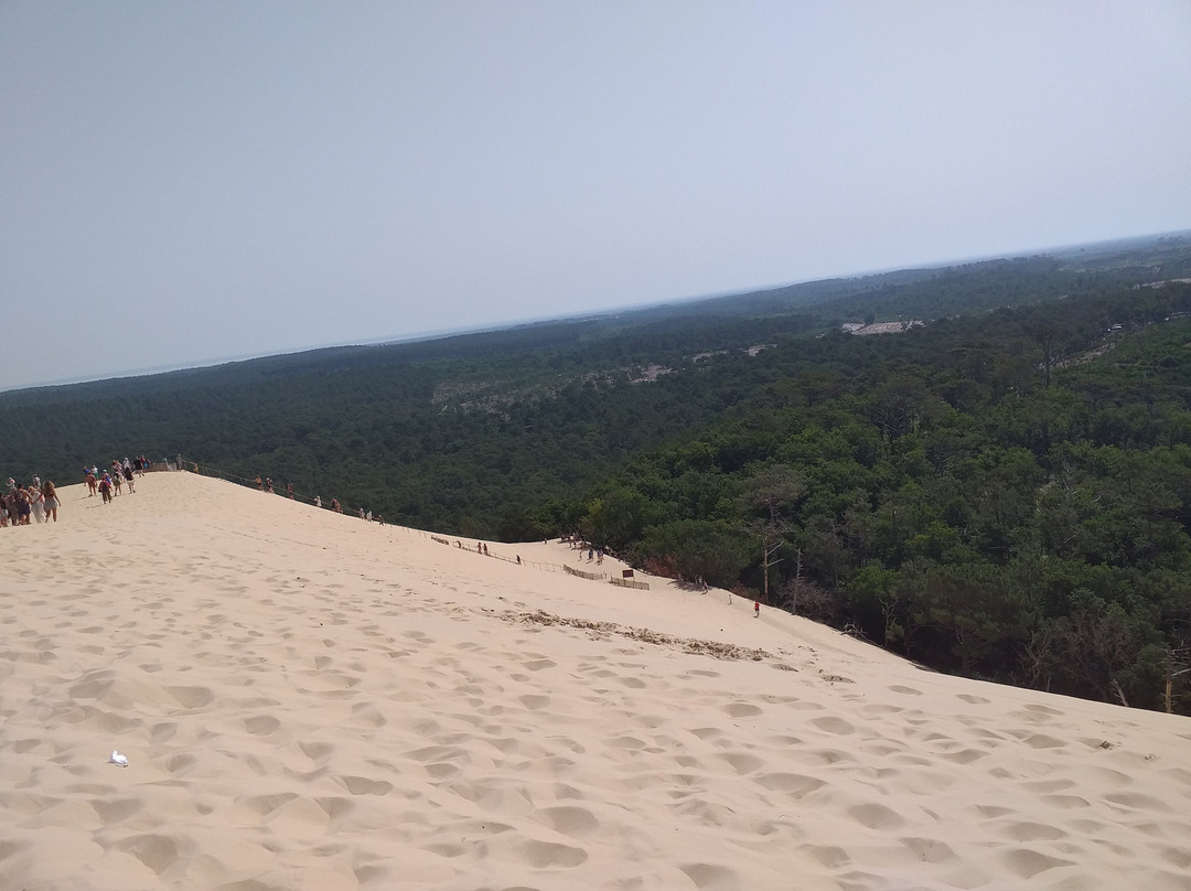 皮拉大沙丘-Pyla-sur-Mer必去景点