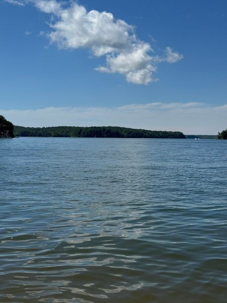 Moors Resort & Marina on Kentucky Lake-旅行者