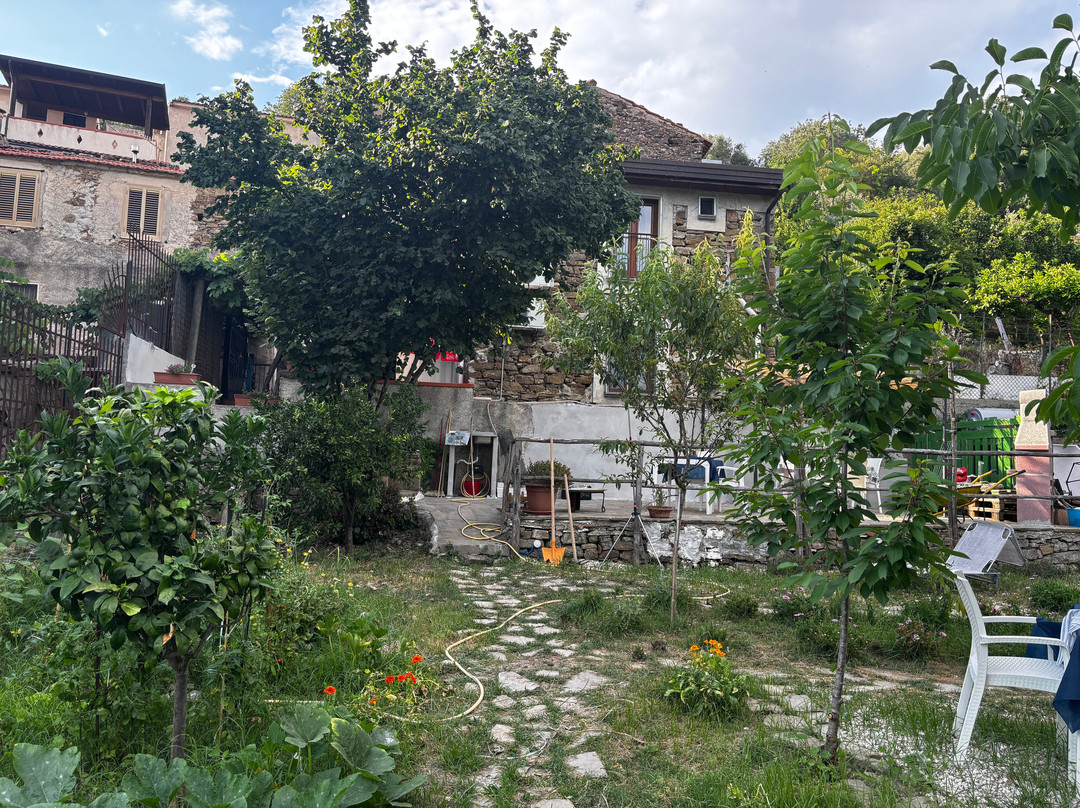 Il Giardino Segreto主图