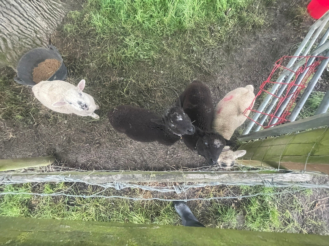 Goffsland Farm主图