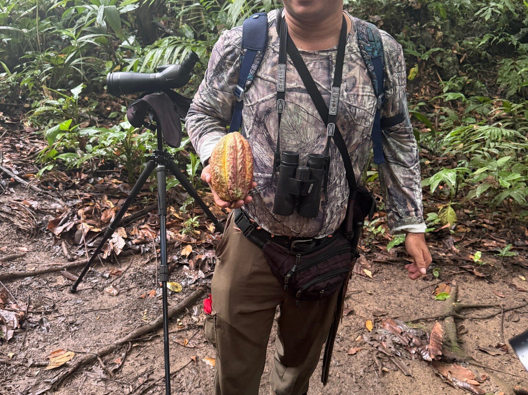 Manuel Tour Guide-卡维塔必去景点
