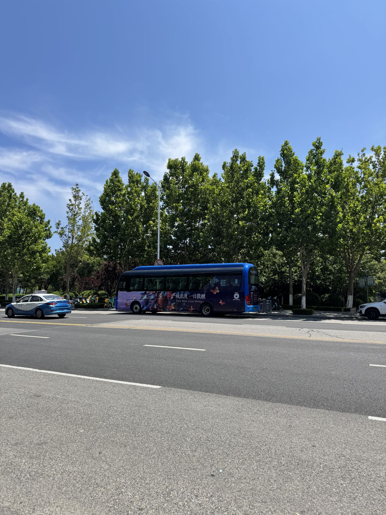 烟台金海岸希尔顿酒店-旅行者