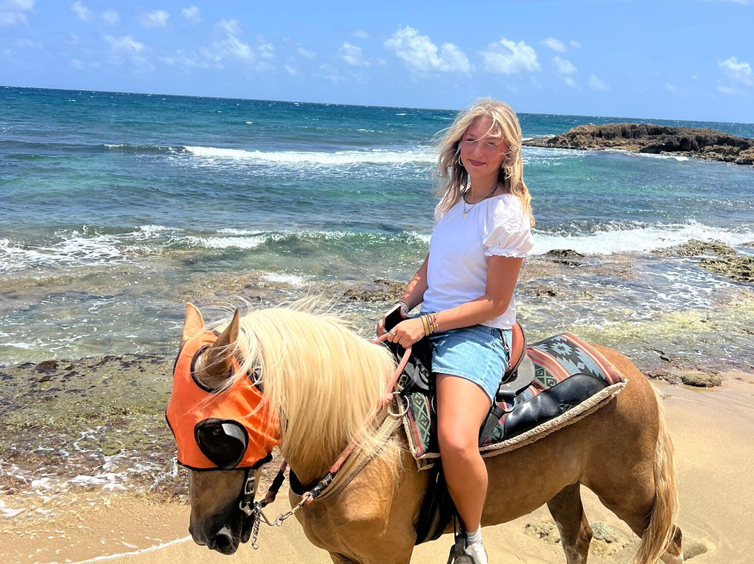 Playuelas Horse Rides-Aguadilla必去景点
