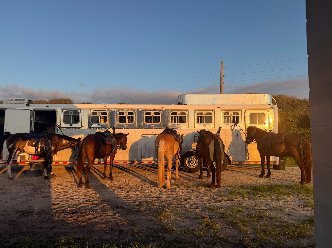 Amelia Island Horseback Riding-费尔南迪纳岛必去景点