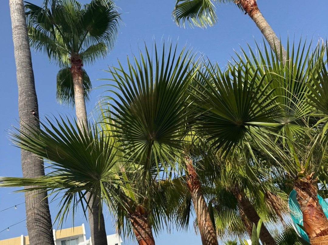 罗萨德尔玛水疗酒店主图
