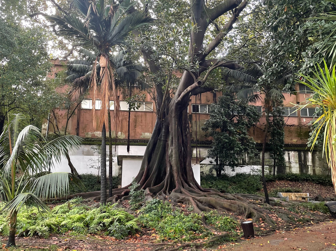 Jardim Da Estrela Park-里斯本必去景点