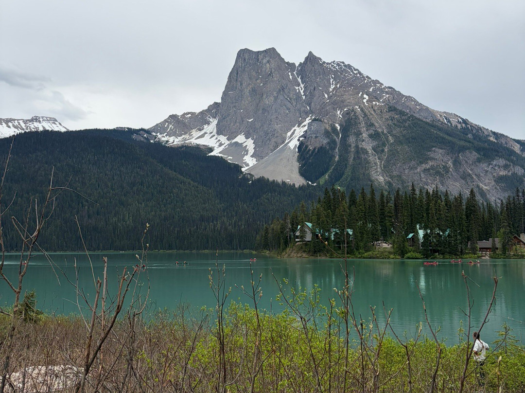 Canadian Rockies Experience-坎莫尔必去景点