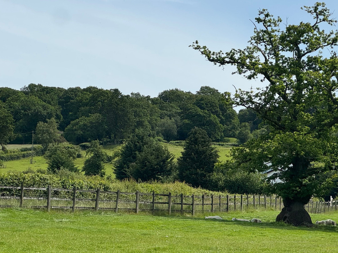 Acorn Court Country House主图