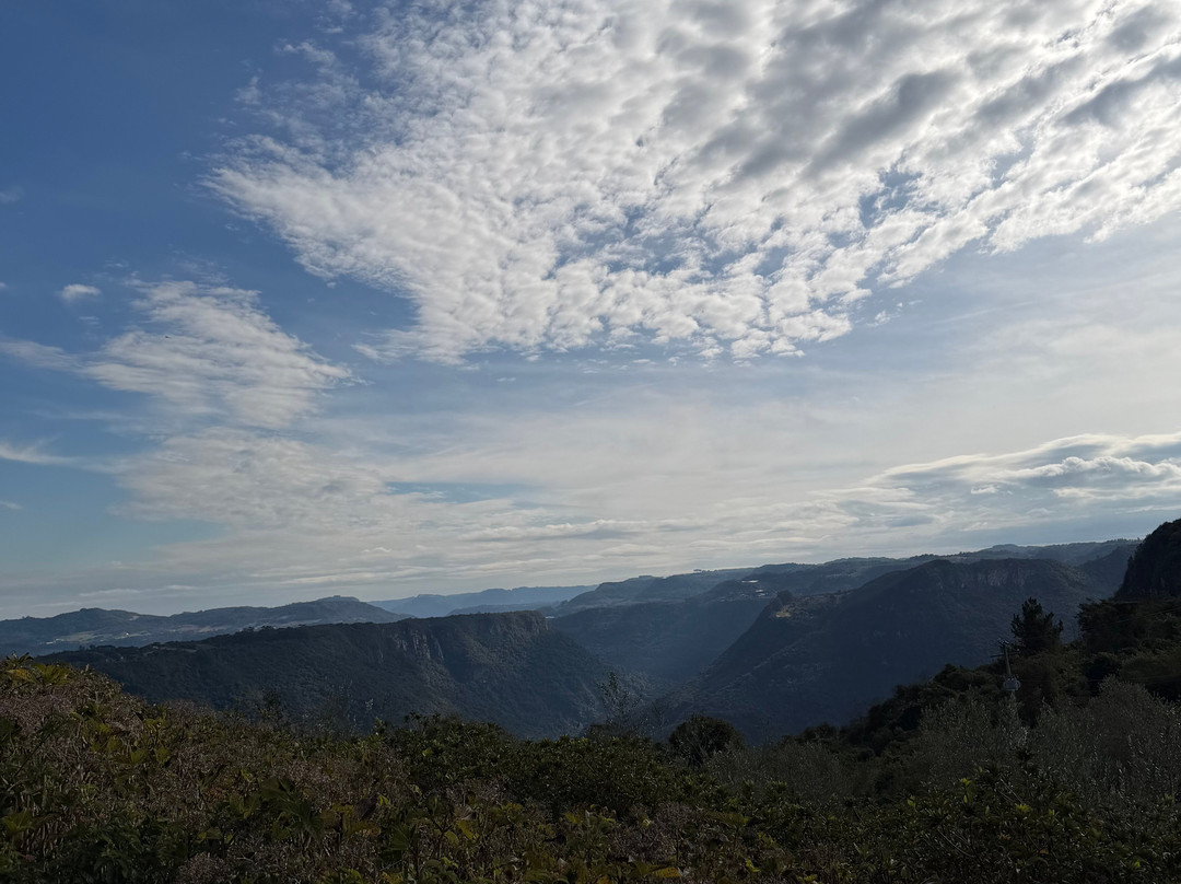 Parque Olivas de Gramado-格拉玛多必去景点