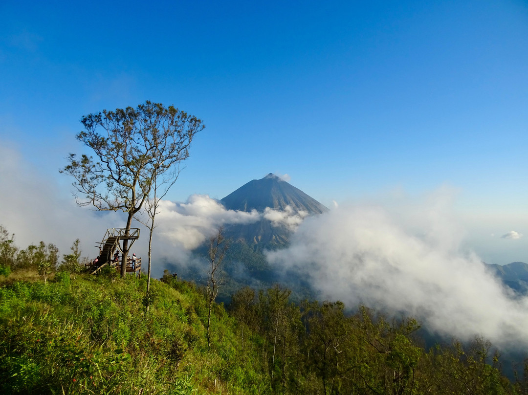 Flores Explore Tours-Maumere必去景点