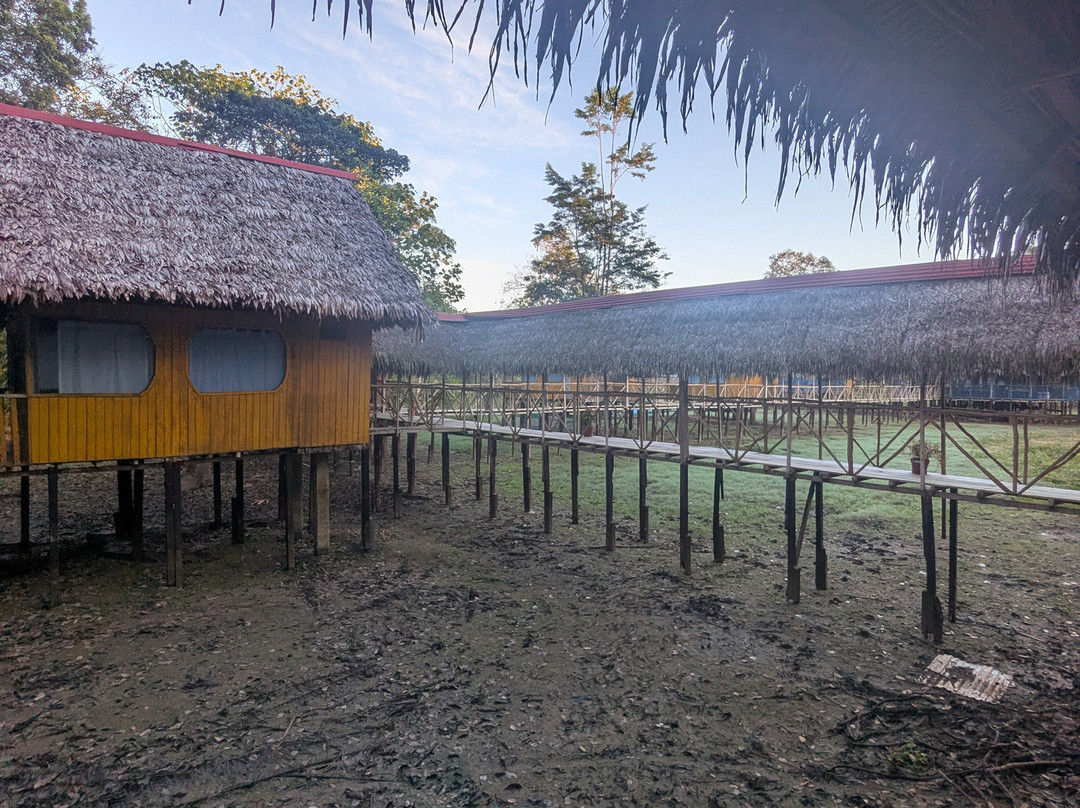 Curassow Amazon Lodge-伊基托斯必去景点