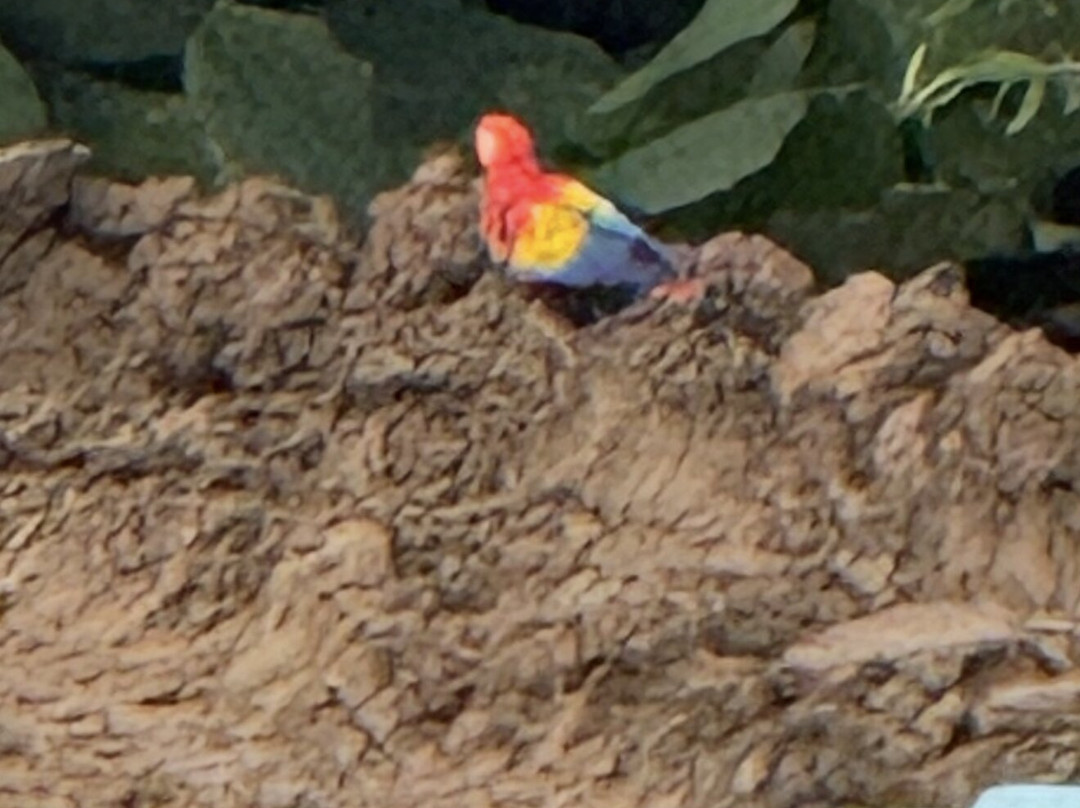 ILT Costa Rica-圣何塞必去景点