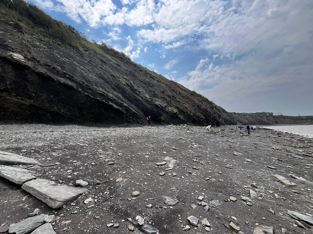 Joggins Fossil Cliffs And Centre-Joggins必去景点