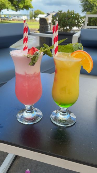 霍德森海湾酒店-旅行者