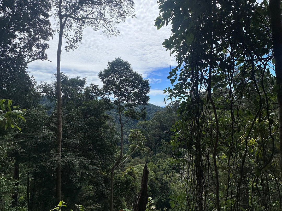 Bukit Lawang Adventure-武吉拉旺必去景点