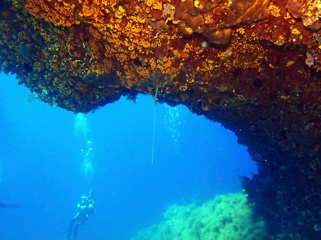 Orca Diving Ustica-Ustica必去景点