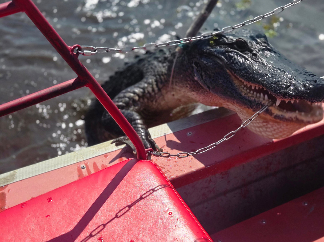 New Orleans Airboat Tours-Marrero必去景点