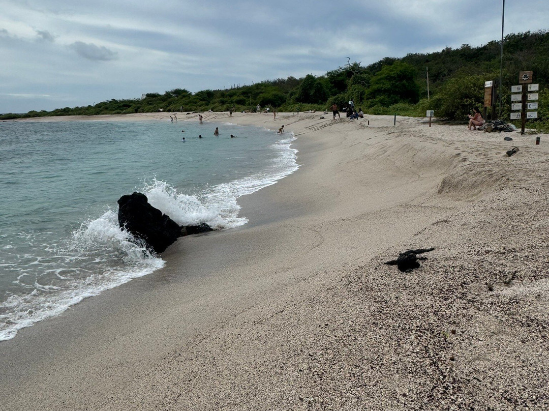 Playa Punta Carola-圣克里斯托瓦尔必去景点