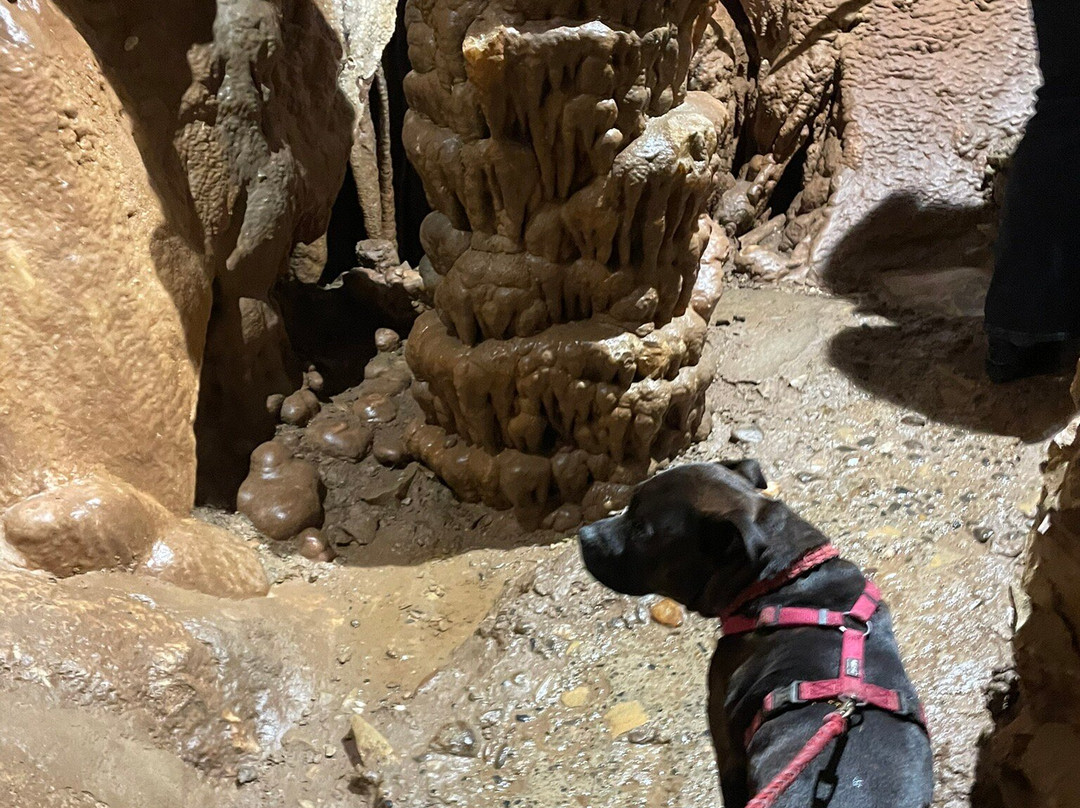 Les Grottes de Presque-Saint-Medard-de-Presque必去景点