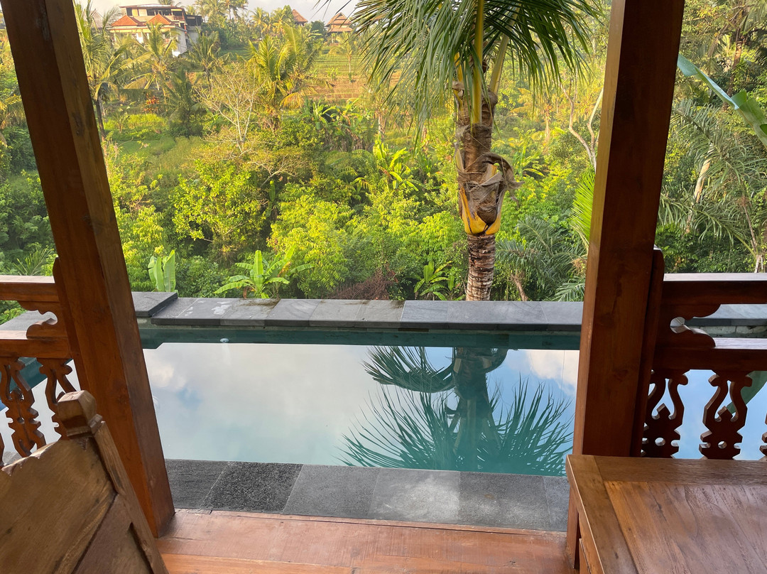 阿拉莫德哈里Spa度假旅馆