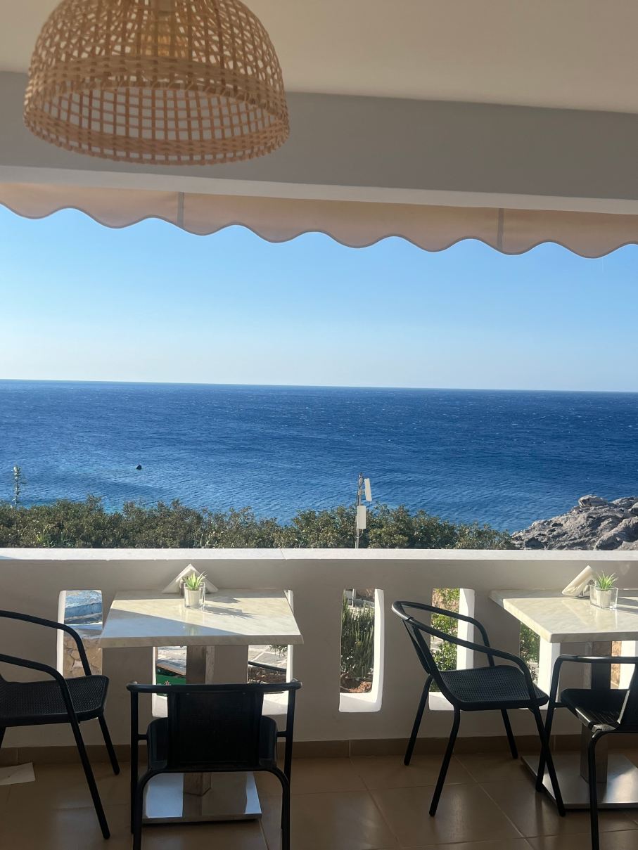 Castelia Bay Hotel-旅行者