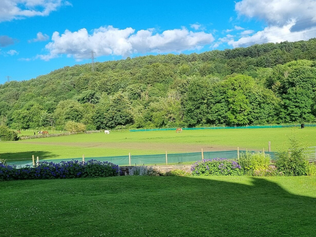 Ford House Farm主图