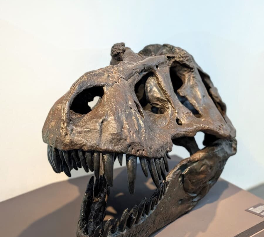 Naturmuseum St.Gallen-圣加仑必去景点