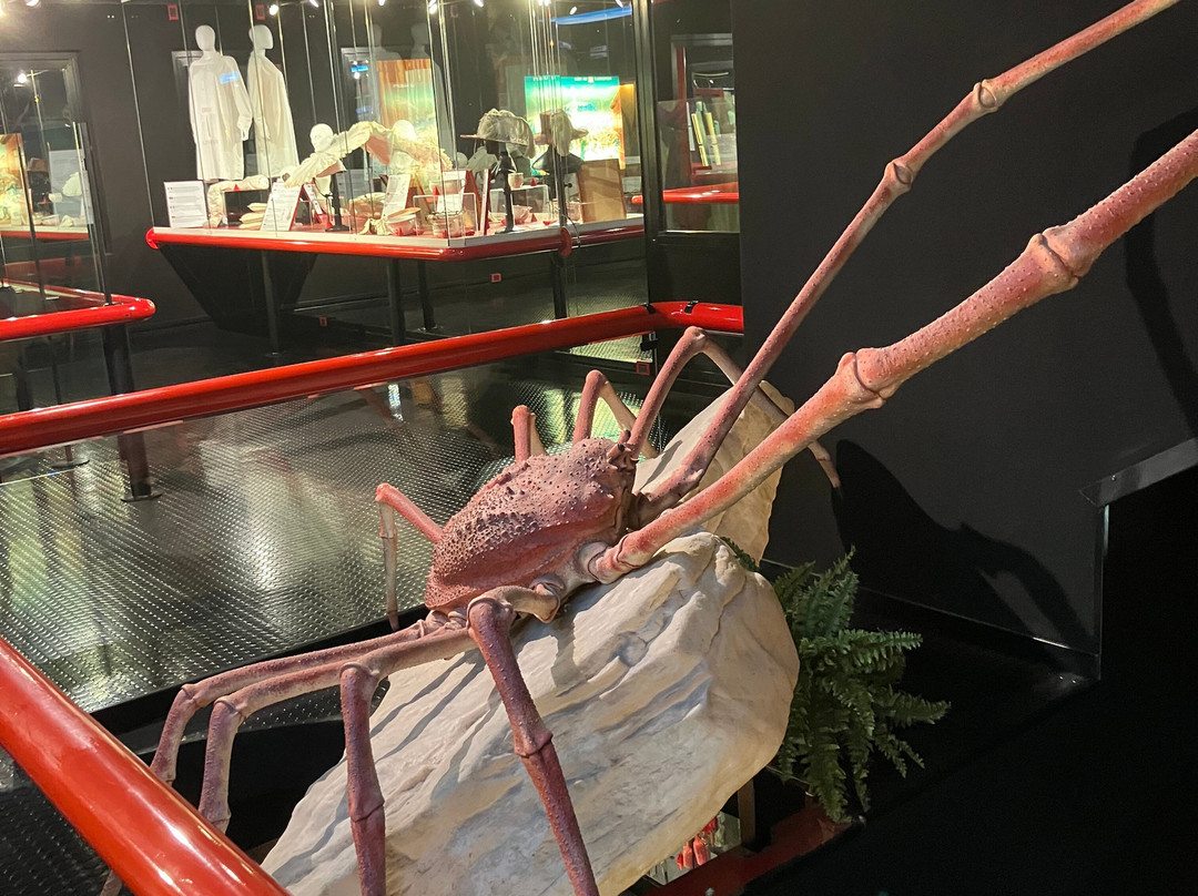 Museo delle curiosità-圣马力诺城必去景点