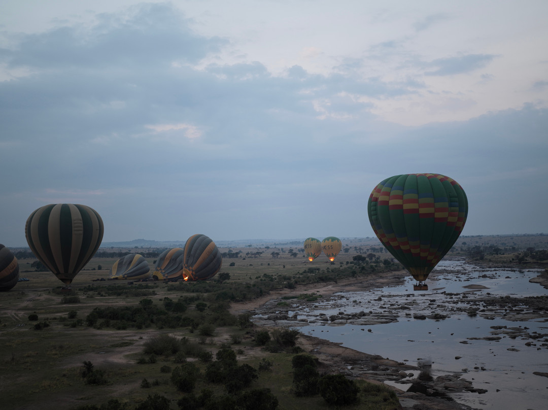 Adventures Aloft Balloon Safari Tanzania-Ikoma必去景点