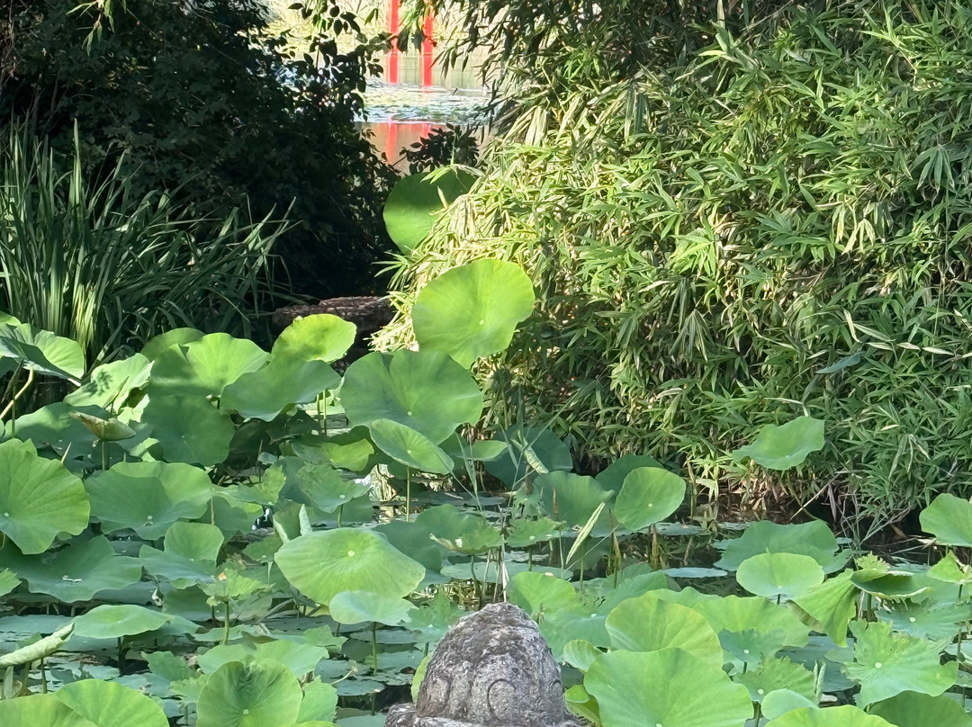 Schlosspark Dennenlohe-Unterschwaningen必去景点