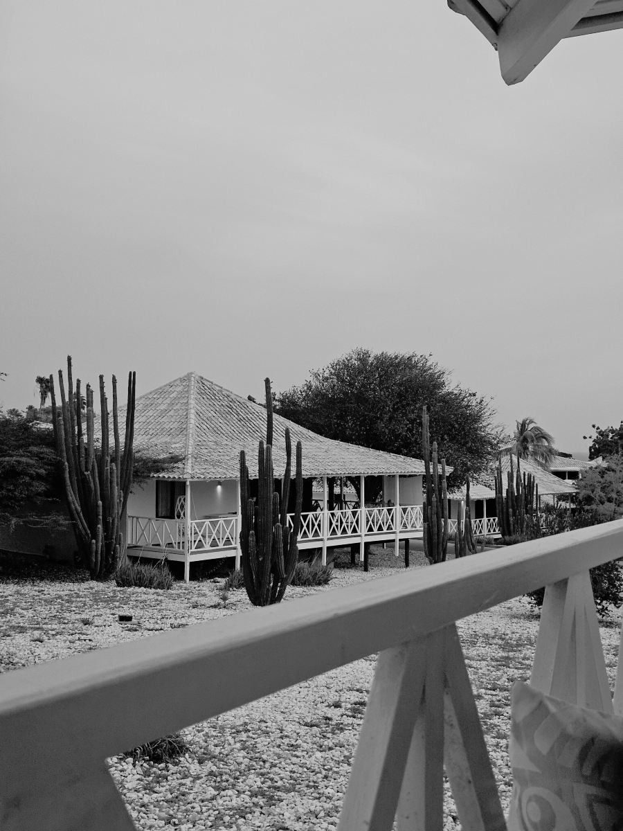 鹦鹉海滩度假酒店-旅行者