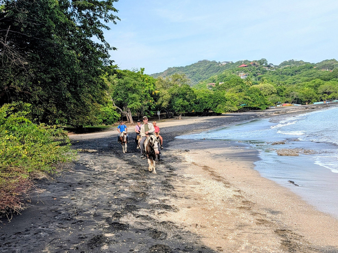 The Monkey Farm-Playa Ocotal必去景点
