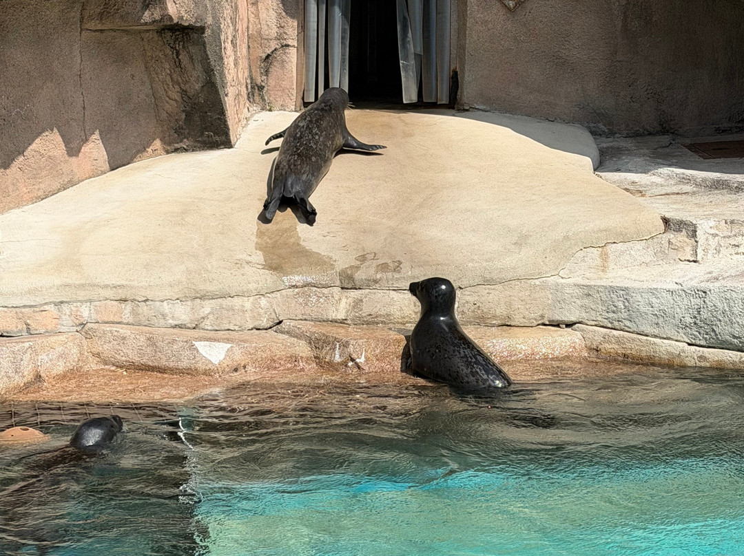Milwaukee County Zoo-密尔沃基必去景点