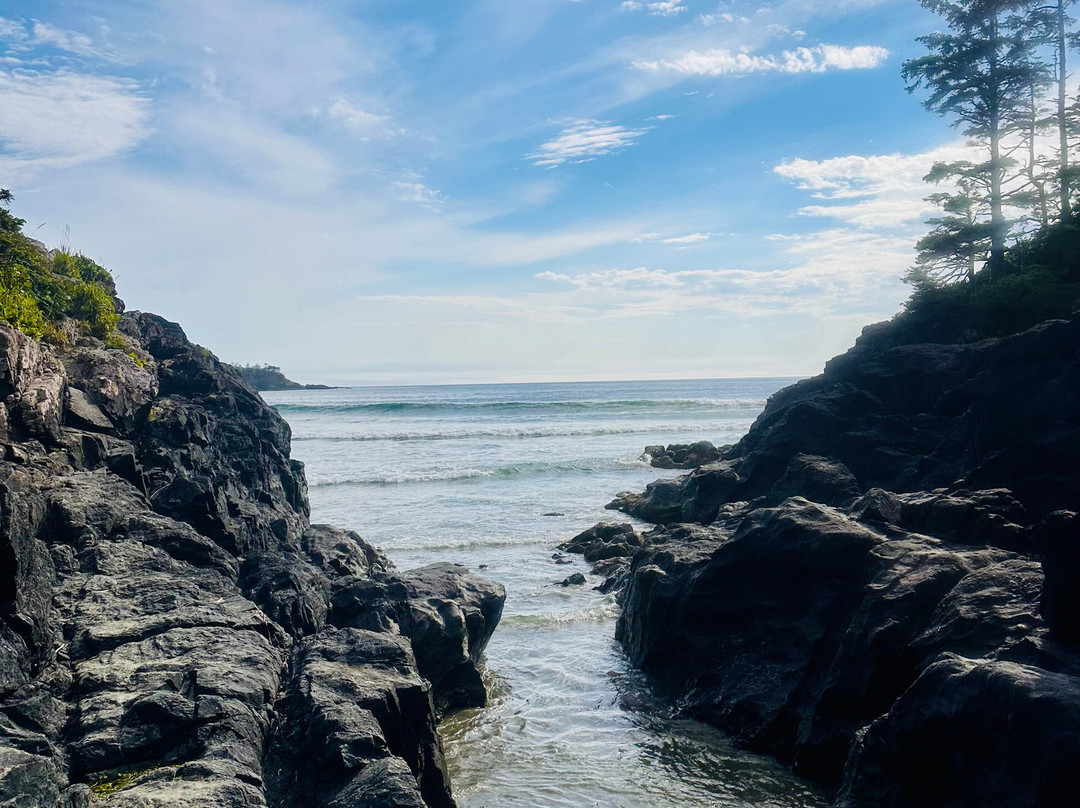 Cox Bay Beach-托菲诺必去景点